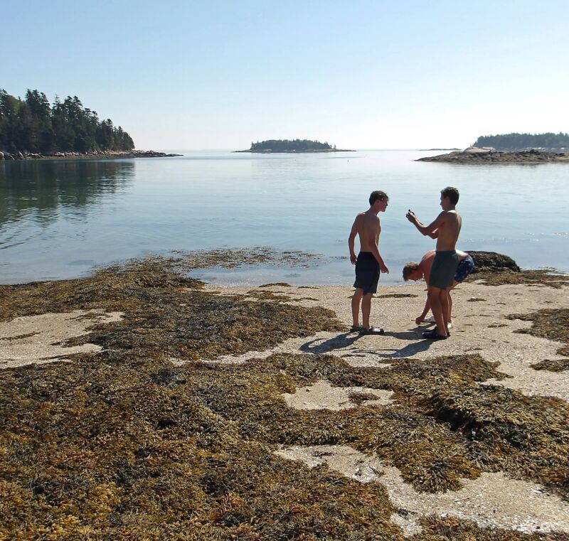 The image shows three young boys on a rocky shore near a body of water. They are wearing swim trunks, suggesting they might be swimming or playing in the water. The shore is covered with seaweed or algae. In the background, there are islands and trees, indicating a coastal or island setting. The sky is clear and blue, suggesting a sunny day.